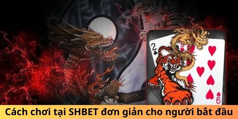 Cách chơi tại SHBET đơn giản cho người bắt đầu