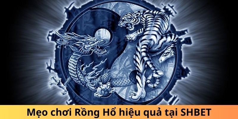 Mẹo chơi Rồng Hổ hiệu quả tại SHBET